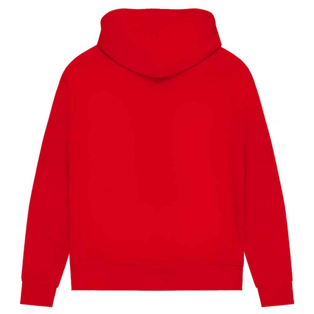 Damen Premium Bio Hoodie Die Scheibe ruft vorher an, um sich zu entschuldigen